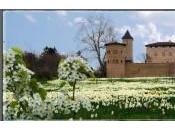 labyrinthe végétal château Saint-Bernard Jardin l’année 2013