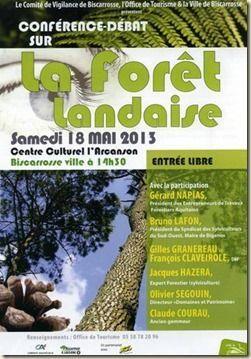 foret landaise v