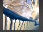 Exposition Céline Sadonnet “Voyage Onirique” Numériphot