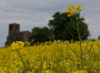 olympus,om-d,photo,hybride,zoom,plaisir