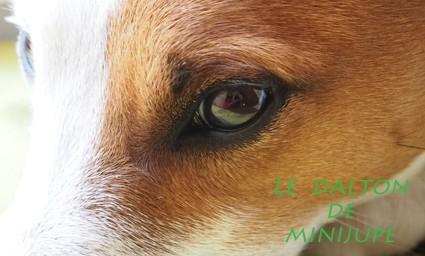 olympus,om-d,photo,hybride,zoom,plaisir