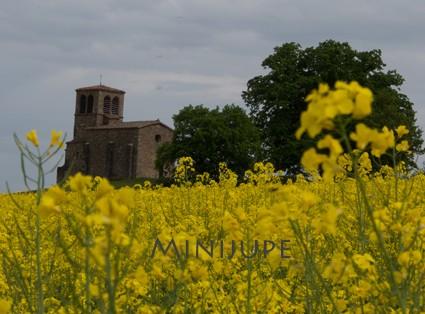 olympus,om-d,photo,hybride,zoom,plaisir