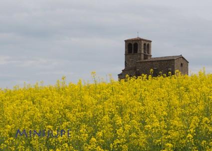 olympus,om-d,photo,hybride,zoom,plaisir