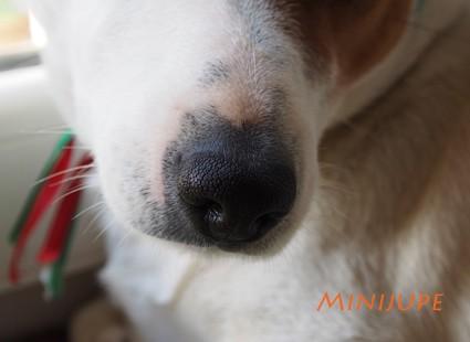 olympus,om-d,photo,hybride,zoom,plaisir