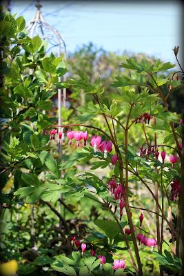 Un p'tit tour au jardin...