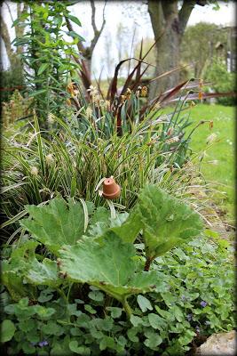 Un p'tit tour au jardin...