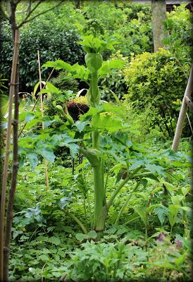 Un p'tit tour au jardin...
