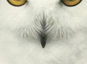 MISERICORDIA Jack Wolf