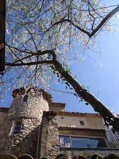 Stages de peinture en Provence