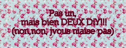 Pas un mais deux diy