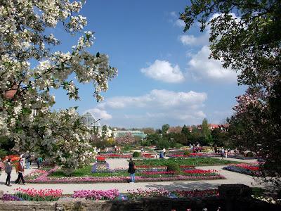 Floraisons printanières au jardin botanique de Munich au mois de mai