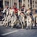 une #manade au #galop ds #Alès #féria 2013