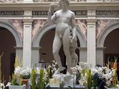 Champagne usage bois