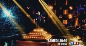 Demi-finale de The Voice 2