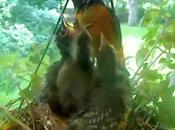 Quatre semaines auprès d'un