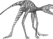 Dans petits premiers dinosaures terrestres