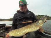Broc irlandais casquette