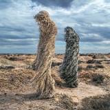 Papapetrou Ghillies 02