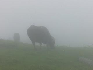 Méditer, est-ce faire le vide ?