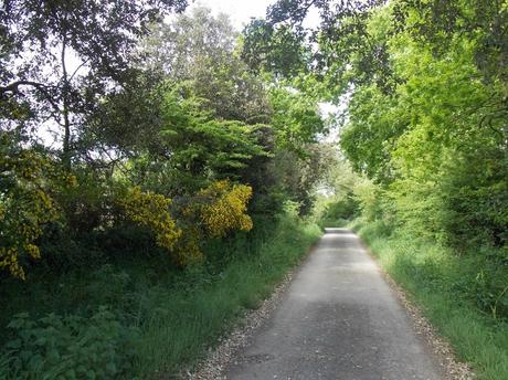 à la première personne du singulier