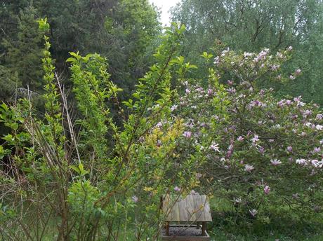 à la première personne du singulier