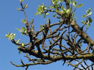 Qui dit Honfleur ...