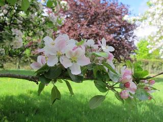 Qui dit Honfleur ...