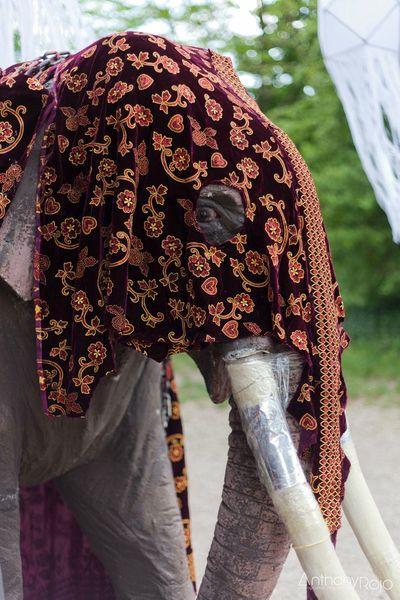 Reportage Photo - Paris... entre expositions et découvertes Keith Haring, Ron Mueck, Dynamo et un brin de bouddhisme ! Paris_keith_haring-78