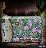 Idée potager (ou jardin d'expérience ?)