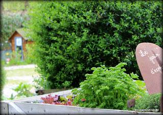 Idée potager (ou jardin d'expérience ?)