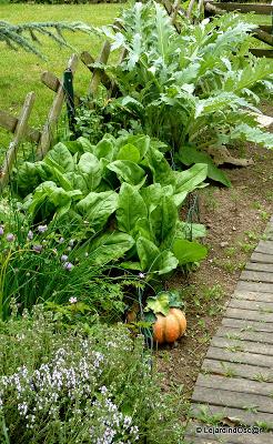 Idée potager (ou jardin d'expérience ?)