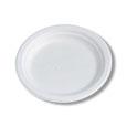 assiette blanche biodégradable