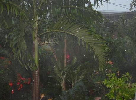 Apocalypse Now !