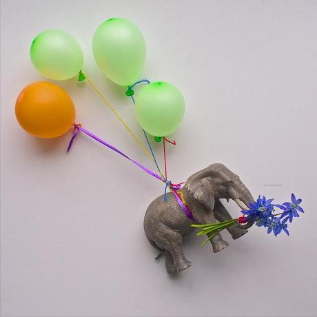 MINIMAL MANIAC #15 anteketborka.blogspot.com, nature66