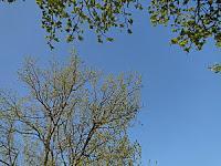 MINIMAL MANIAC #15 MINIMAL MANIAC #15