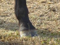 MINIMAL MANIAC #15 MINIMAL MANIAC #15