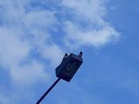 MINIMAL MANIAC #15 MINIMAL MANIAC #15