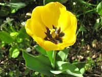 MINIMAL MANIAC #15 MINIMAL MANIAC #15