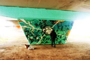 piliers graffiti viaduc van horne isabelle winters crazy apes