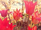 J'ai descendu dans jardin