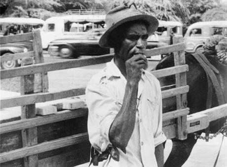 LE FESTIVAL DE CANNES C’EST AUSSI …….