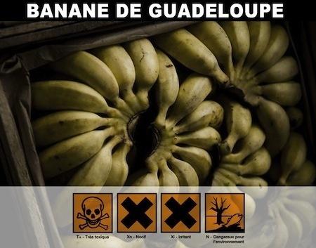 Photo : negronews.fr