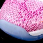 air-jordan-11-low-gs-pink-snakeskin-09