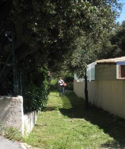 Entretien des espaces verts