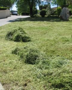 Entretien des espaces verts