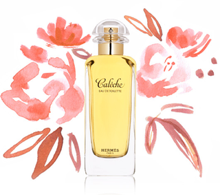 Capture d’écran 2013-05-14 à 17.31.15