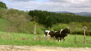 vlcsnap-2013-05-15-00h49m24s198