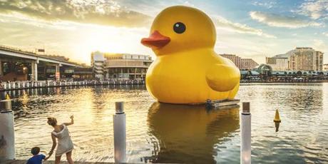 ART : Un petit canard au bord de lâ€™eauâ€Ś