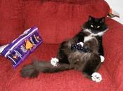 Playstation sortie simultanée Europe