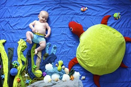 La photo du mois La photo du mois